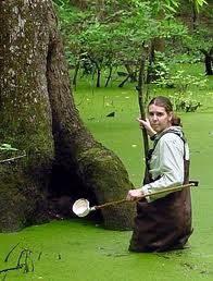 Fighting mosquitos.leave swamp