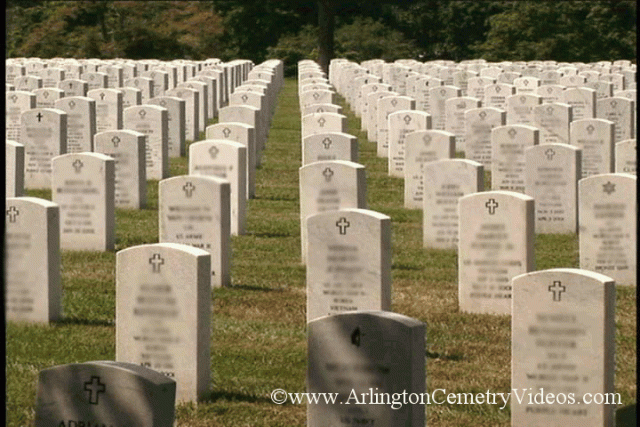 Arlington
